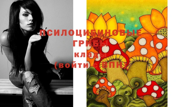 спайс Алексеевка