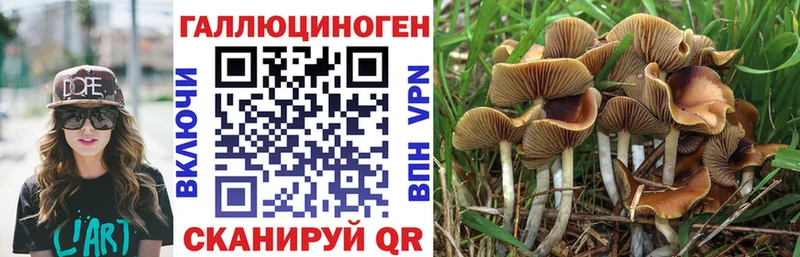 Псилоцибиновые грибы мицелий  Тара 